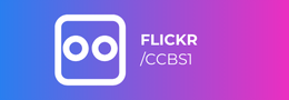 Flickr 